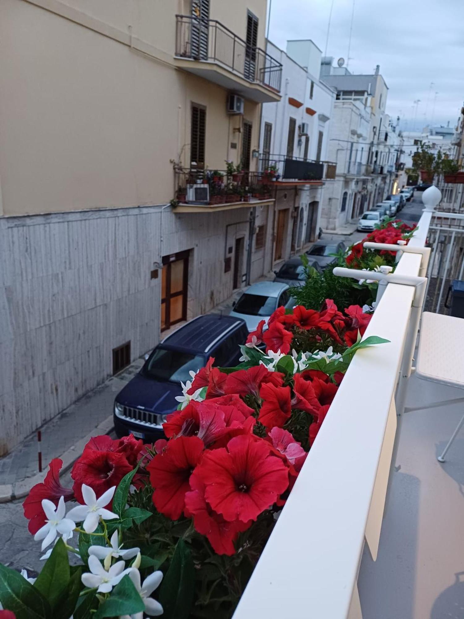Casa Lina Apartamento Mola di Bari Exterior foto